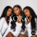 Hair Business Logo - AORA