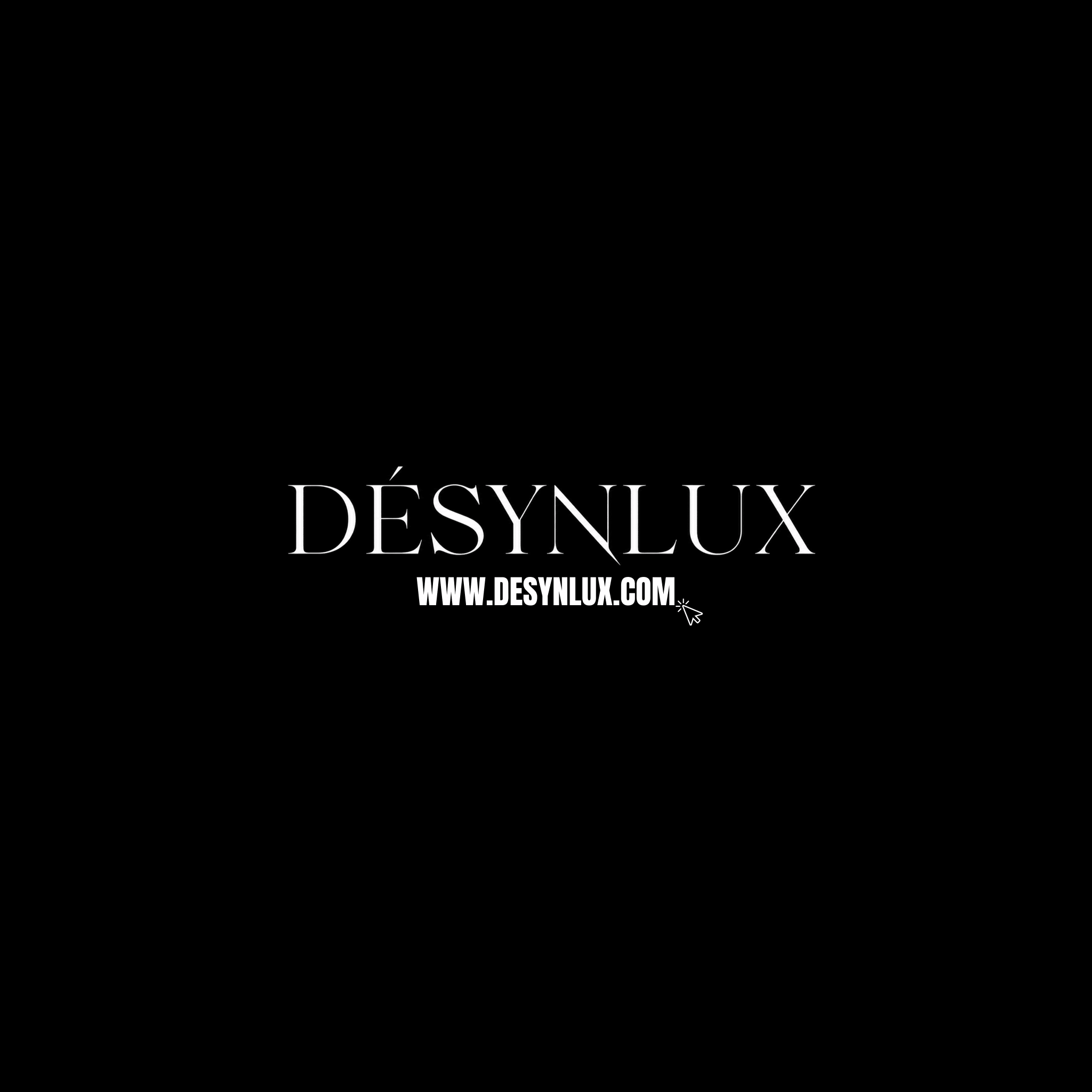 Website Theme Installation (24 - 48 Hours) - DÉSYNLUX
